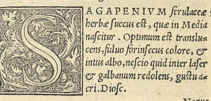 An illustration from Apparatus et delectus simplicium medicamentorum : De compositione medicamentorum secundum genera, ex Paulo Aegineta. De compositione medicamentorum secundum genera universalis methodus, ex Galeno. Omnia nunc primùm aedita, cùm medicis, tum pharmacopolis omnib. apprimè necessaria ..., 1542, leaf 112