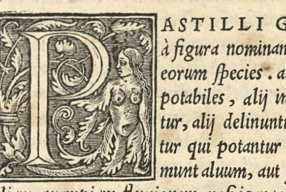 An illustration from Apparatus et delectus simplicium medicamentorum : De compositione medicamentorum secundum genera, ex Paulo Aegineta. De compositione medicamentorum secundum genera universalis methodus, ex Galeno. Omnia nunc primùm aedita, cùm medicis, tum pharmacopolis omnib. apprimè necessaria ..., 1542, leaf 136
