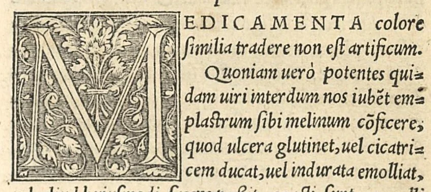 An illustration from Apparatus et delectus simplicium medicamentorum : De compositione medicamentorum secundum genera, ex Paulo Aegineta. De compositione medicamentorum secundum genera universalis methodus, ex Galeno. Omnia nunc primùm aedita, cùm medicis, tum pharmacopolis omnib. apprimè necessaria ..., 1542, leaf 190
