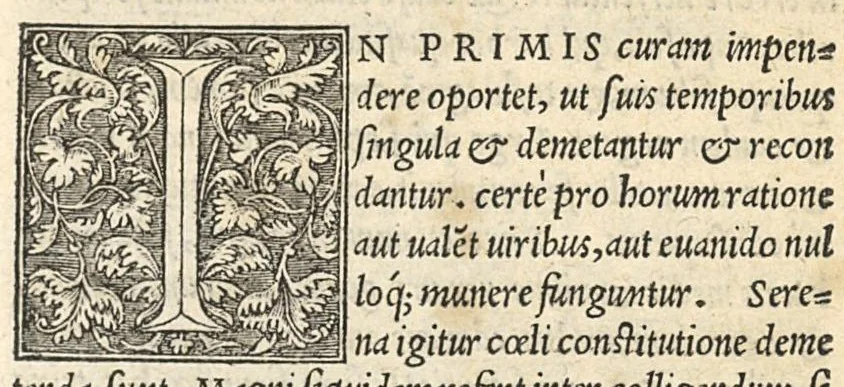 An illustration from Apparatus et delectus simplicium medicamentorum : De compositione medicamentorum secundum genera, ex Paulo Aegineta. De compositione medicamentorum secundum genera universalis methodus, ex Galeno. Omnia nunc primùm aedita, cùm medicis, tum pharmacopolis omnib. apprimè necessaria ..., 1542, leaf 20