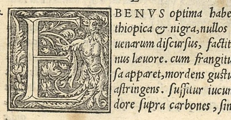 An illustration from Apparatus et delectus simplicium medicamentorum : De compositione medicamentorum secundum genera, ex Paulo Aegineta. De compositione medicamentorum secundum genera universalis methodus, ex Galeno. Omnia nunc primùm aedita, cùm medicis, tum pharmacopolis omnib. apprimè necessaria ..., 1542, leaf 65