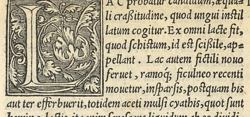 An illustration from Apparatus et delectus simplicium medicamentorum : De compositione medicamentorum secundum genera, ex Paulo Aegineta. De compositione medicamentorum secundum genera universalis methodus, ex Galeno. Omnia nunc primùm aedita, cùm medicis, tum pharmacopolis omnib. apprimè necessaria ..., 1542, leaf 80