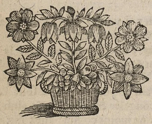 An illustration from Les Oeuvres...tant medicinales que chymiques, divisées en quatre principaux traitez...seconde édition, 1661, leaf 193