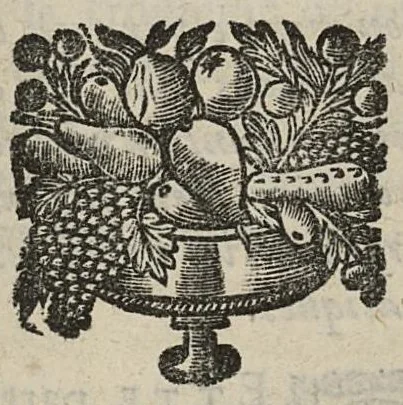 An illustration from Traité de la circulation des esprits animaux divisé en quatre parties par un religieux de la Congrégation de Saint-Maur, 1682, leaf 148