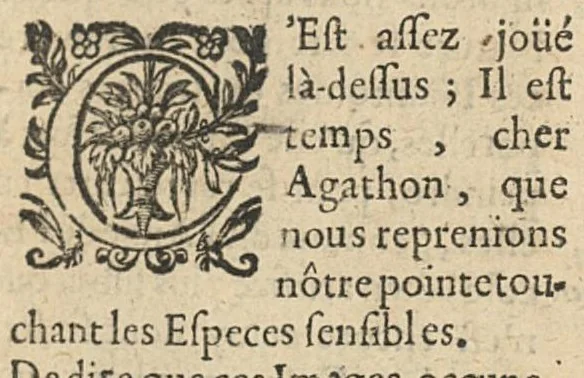 An illustration from Raisonnements sur la nature des esprits qui servent aux sentiments, 1638, leaf 138