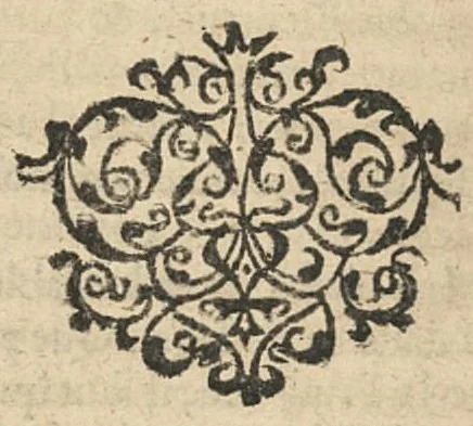 An illustration from Raisonnements sur la nature des esprits qui servent aux sentiments, 1638, leaf 73