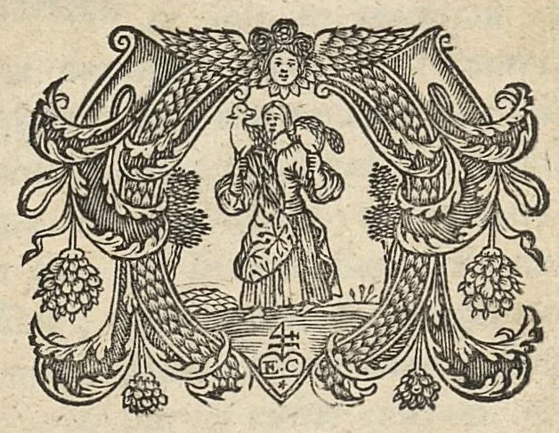 An illustration from Le medecin des pauvres, qui enseigne le moyen de guerir les maladies par des remedes faciles à trouver dans le päis..., 1669, leaf 318