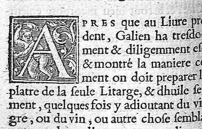 An illustration from Opuscules de divers autheurs medecins, redigez ensemble pour le proufit et utilité des Chirurgiens. Reveuz et corrigez de nouveau, avec leur Indice, 1552, leaf 181