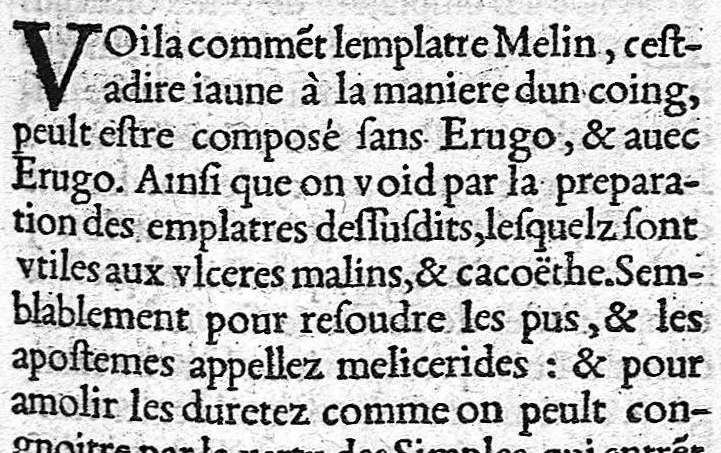 An illustration from Opuscules de divers autheurs medecins, redigez ensemble pour le proufit et utilité des Chirurgiens. Reveuz et corrigez de nouveau, avec leur Indice, 1552, leaf 198