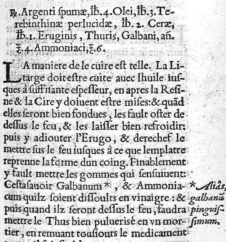 An illustration from Opuscules de divers autheurs medecins, redigez ensemble pour le proufit et utilité des Chirurgiens. Reveuz et corrigez de nouveau, avec leur Indice, 1552, leaf 200
