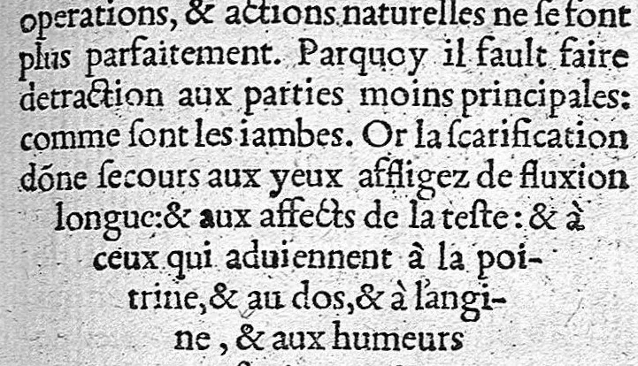 An illustration from Opuscules de divers autheurs medecins, redigez ensemble pour le proufit et utilité des Chirurgiens. Reveuz et corrigez de nouveau, avec leur Indice, 1552, leaf 354