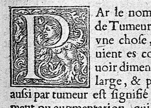 An illustration from Opuscules de divers autheurs medecins, redigez ensemble pour le proufit et utilité des Chirurgiens. Reveuz et corrigez de nouveau, avec leur Indice, 1552, leaf 356