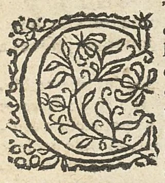 An illustration from Traité de le medecine contenant la parfaite connoissance de l'homme,..., 1680, leaf 20