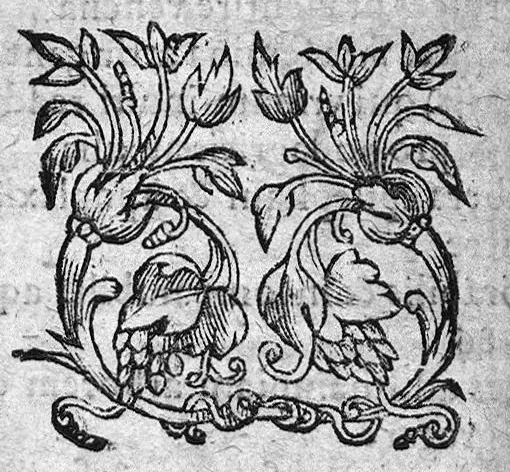An illustration from Antonii Mizaldi [...] Memorabilium, sive Arcanorum omnis generis, per aphorismos digestorum, Centuriae IX, et Democritus Abderita de Rebus Naturalibus et Mysticis, Cum Synesii et Pelagii Commentariis, 1572, leaf 101
