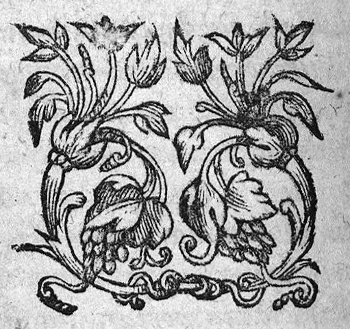 An illustration from Antonii Mizaldi [...] Memorabilium, sive Arcanorum omnis generis, per aphorismos digestorum, Centuriae IX, et Democritus Abderita de Rebus Naturalibus et Mysticis, Cum Synesii et Pelagii Commentariis, 1572, leaf 591