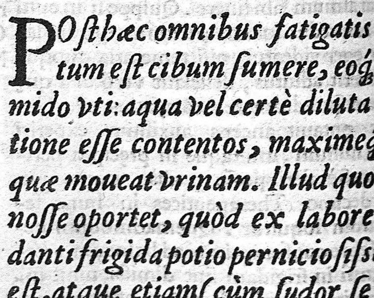 An illustration from Commentarii de sanitate tuenda in primum librum de Re medica Aurel. Cornelii Celsi, 1558, leaf 131