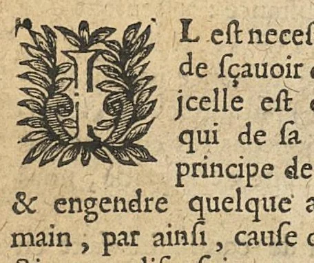 An illustration from Generale instruction et tres asseuree methode qu'il faut tenir en la consulte des maladies divisée en trois parties, 1644, leaf 33