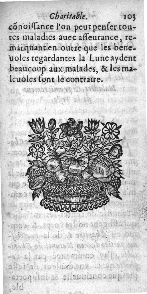An illustration from Le pronosticateur charitable, 1666, leaf 115