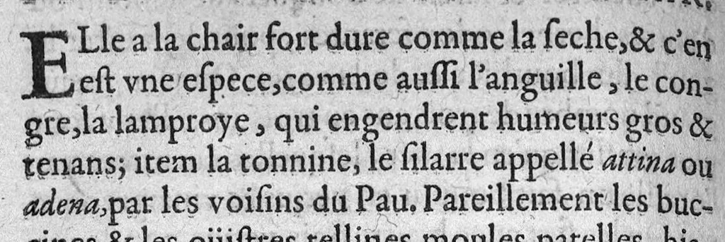 An illustration from Le Thresor de santé, ou mesnage de la vie humaine divisé en dix livres..., 1607, leaf 295