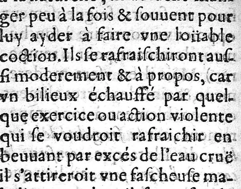An illustration from Le secret de retarder la vieillesse ou l'art de rajeunir et de conserver la santé, selon les maximes des plus célèbres autheurs de la médecine., 1668, leaf 74