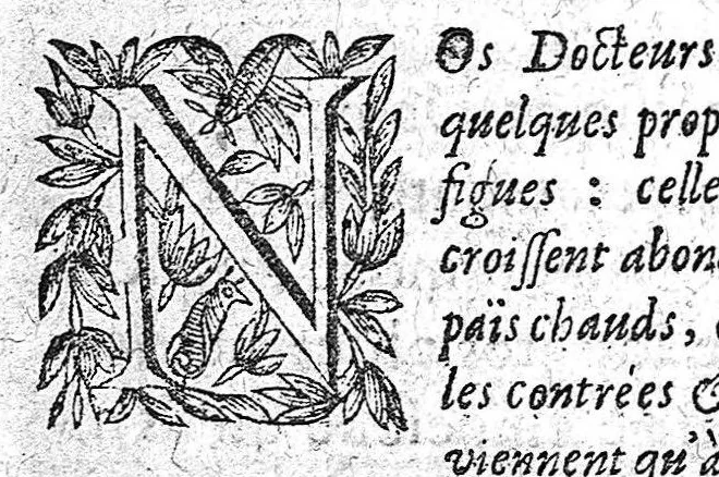 An illustration from Régime de l'école de Salerne, traduit et commenté par Michel Le Long, 1637, leaf 295