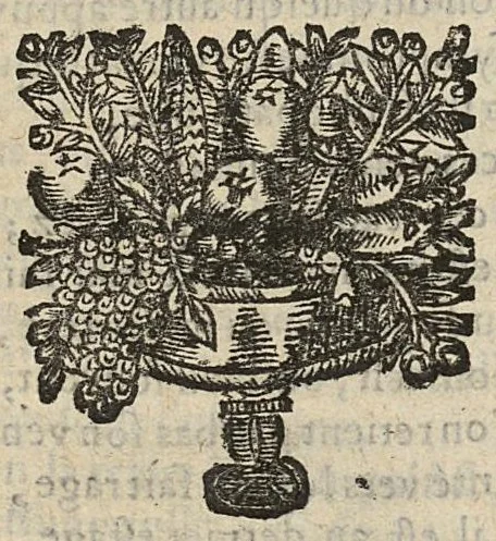 An illustration from Commentaire en vers françois, sur l'Ecole de Salerne, contenant les moyens de se passer de medecin, de vivre long-temps en santé...par Monsieur D.F.C...., 1671, leaf 493