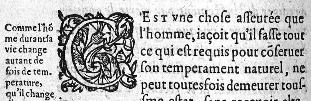An illustration from Le gouvernement necessaire à chacun pour vivre longuement en santé, avec le gouvernement requis en l'usage des eaux minerales,..., 1608, leaf 217