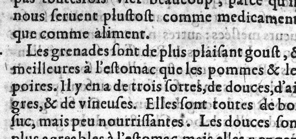 An illustration from Le gouvernement necessaire à chacun pour vivre longuement en santé. Dedié au Roy Tres-chrestien de France et de Navarre, Henry IIII. Par Nicolas Abraham, Sr de La Framboisiere, Conseiller et Medecin ordinaire de sa Majesté, 1600, leaf 95