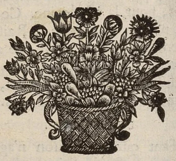An illustration from Dialogues de la santé, 1683, leaf 109
