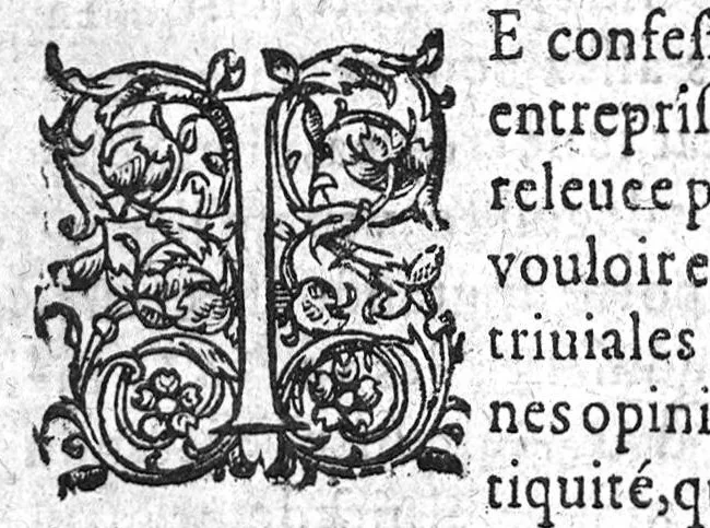 An illustration from Questions naturelles et curieuses et curieuses : contenans diverses opinions problematiques, recueillies de la Medecine, touchant le regime de santé. ou se voient plusieurs proverbes populaires...curieusement recherchee & resoluës par P. Bailly..., 1628, leaf 10