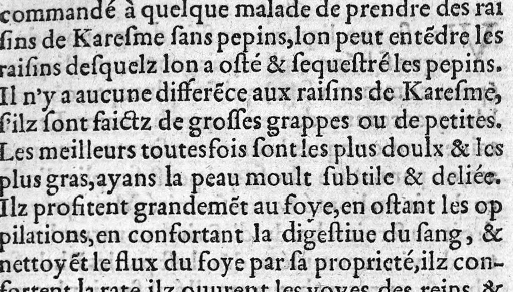 An illustration from Regime de vivre tres utile et necessaire, contenant la proprieté des herbes, fruicts, animaulx, et toutes autres choses naturelles, pour la conservation de la santé du corps humain. Ensemble plusieurs receptes tres necessaires et faciles à faire, desquelles un chascun se peult aider en sa necessité,, 1566, leaf 150