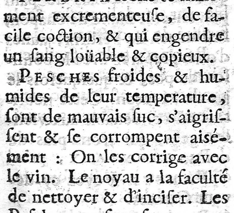 An illustration from Les règles de la santé, ou le véritable régime de vivre que l'on doit observer dans la santé et dans la maladie, et une table qui contient par alphabet les facultez et vertus de tous les alimens tirez des plantes et des animaux dont on use ordinairement, par A. P....., 1684, leaf 174