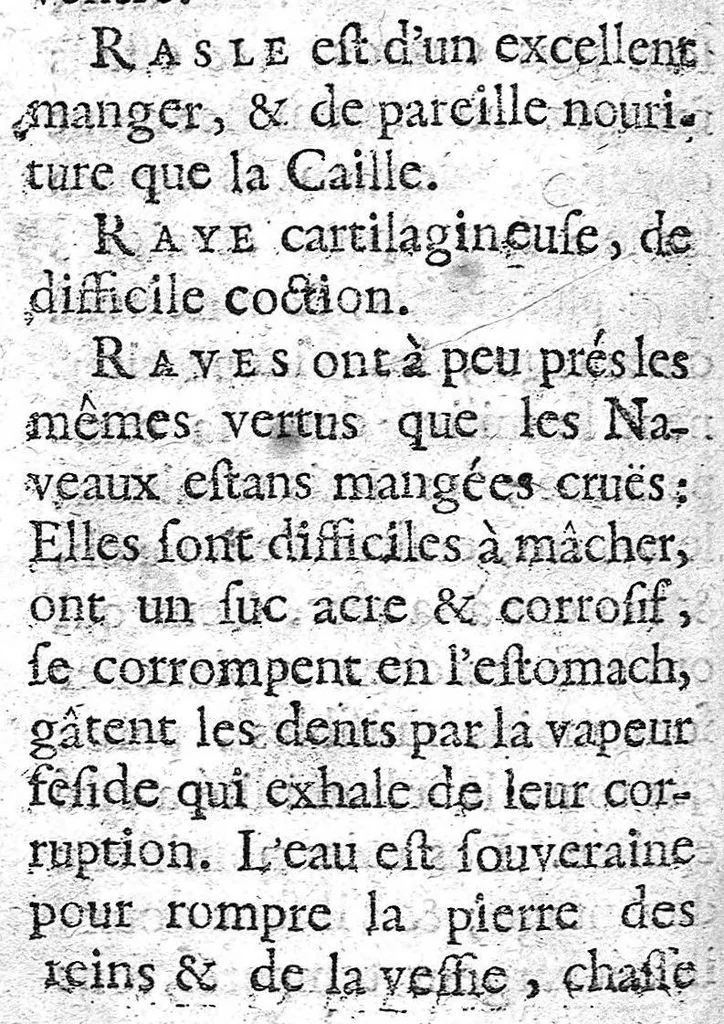 An illustration from Les règles de la santé, ou le véritable régime de vivre que l'on doit observer dans la santé et dans la maladie, et une table qui contient par alphabet les facultez et vertus de tous les alimens tirez des plantes et des animaux dont on use ordinairement, par A. P....., 1684, leaf 187