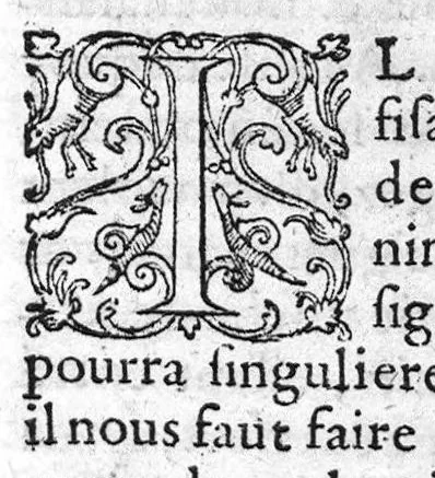 An illustration from Traitté de la peste composé en Latin par M. Laurent Joubert, conseiller et medecin ordinaire du Roy, et du roy de Navarre, premier docteur regent stipendié, Chancelier et Juge de l’université en Medecine de Mopelier. Plus une question de la paralysie, et deux paradoxes de la Revulsion, du mesme autheur, Traduits fidelement en françois par Guillaume Des Innocens, maistre juré en Chirurgie, de la ville de Tholose, 1581, leaf 26