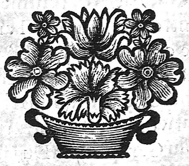 An illustration from La doctrine des raports de chirurgie fondée sur les maximes d'usage et sur la disposition des nouvelles ordonnances, 1684, leaf 211