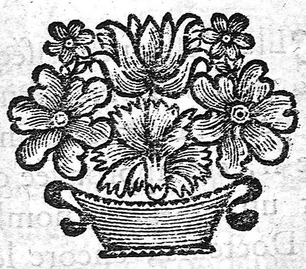 An illustration from La doctrine des raports de chirurgie fondée sur les maximes d'usage et sur la disposition des nouvelles ordonnances, 1684, leaf 97