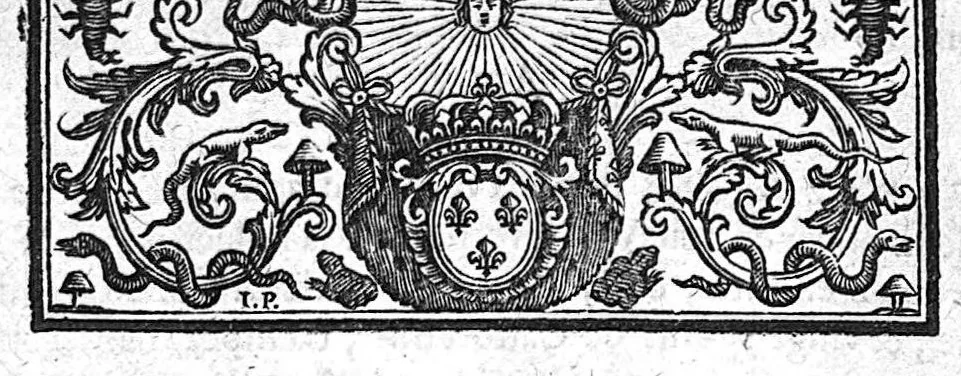 An illustration from Secrets concernant la beauté et la santé. Tome premier, 1688, leaf 358