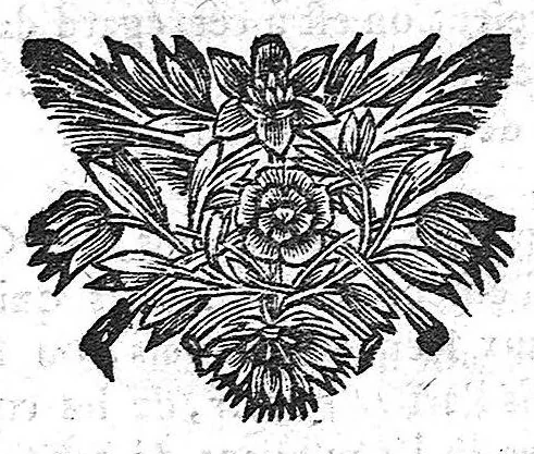 An illustration from Secrets concernant la beauté et la santé. Tome premier, 1688, leaf 752