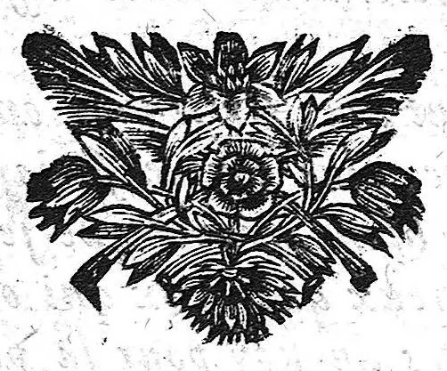 An illustration from Secrets concernant la beauté et la santé. Tome second., 1689, leaf 706