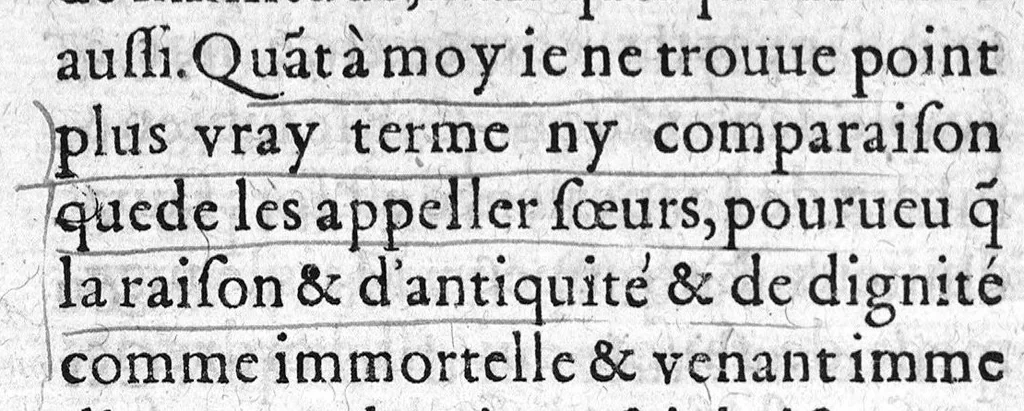 An illustration from Vray discours des interrogatoires faicts en la presence de Mm. de la Cour du Parlement par les Docteurs regent...à Roc le Baillif surnommé La Riviere, sur certains poincts de sa doctrine, 1579, leaf 97
