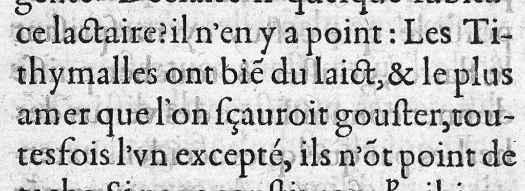 An illustration from Traicte sur la réfutation des abus mis en avant par Roc le Baillif, surnommé La Riviere, sur l'art signé et physiognomonie herbaire. Par lequel est monstré, combien est grande l’erreur qu’il introduict à la cognoissance des Plantes, et de leurs facultez. Auquel est adjousté un petit extraict de ce qu’on trouve de la vie de Paracelse. Par Marc Antoyne Prebonneaux Limosin,, 1579, leaf 20