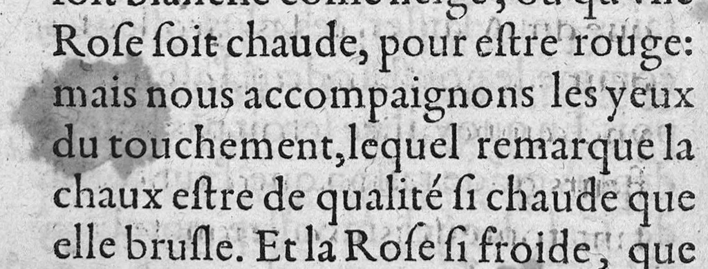 An illustration from Traicte sur la réfutation des abus mis en avant par Roc le Baillif, surnommé La Riviere, sur l'art signé et physiognomonie herbaire. Par lequel est monstré, combien est grande l’erreur qu’il introduict à la cognoissance des Plantes, et de leurs facultez. Auquel est adjousté un petit extraict de ce qu’on trouve de la vie de Paracelse. Par Marc Antoyne Prebonneaux Limosin,, 1579, leaf 41