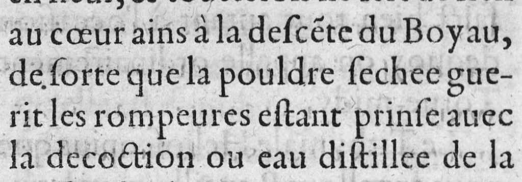 An illustration from Traicte sur la réfutation des abus mis en avant par Roc le Baillif, surnommé La Riviere, sur l'art signé et physiognomonie herbaire. Par lequel est monstré, combien est grande l’erreur qu’il introduict à la cognoissance des Plantes, et de leurs facultez. Auquel est adjousté un petit extraict de ce qu’on trouve de la vie de Paracelse. Par Marc Antoyne Prebonneaux Limosin,, 1579, leaf 54