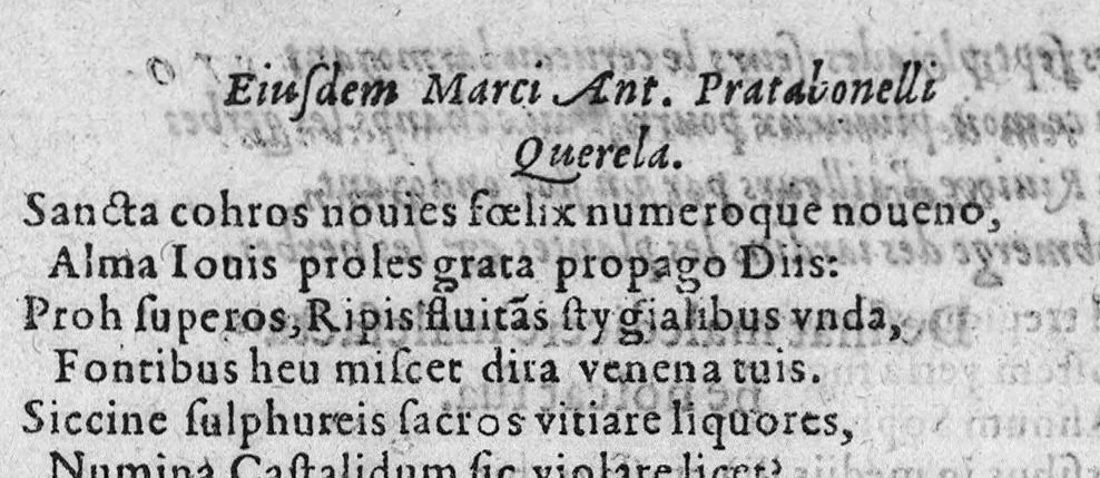 An illustration from Traicte sur la réfutation des abus mis en avant par Roc le Baillif, surnommé La Riviere, sur l'art signé et physiognomonie herbaire. Par lequel est monstré, combien est grande l’erreur qu’il introduict à la cognoissance des Plantes, et de leurs facultez. Auquel est adjousté un petit extraict de ce qu’on trouve de la vie de Paracelse. Par Marc Antoyne Prebonneaux Limosin,, 1579, leaf 76