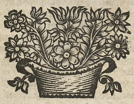 An illustration from Manuel anatomique et pathologique, ou abregé de toute l'anatomie...nouvelle edition corrigée & augmentée de la sixième partie..., 1672, leaf 129