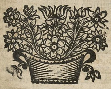 An illustration from Manuel anatomique et pathologique, ou abregé de toute l'anatomie...nouvelle edition corrigée & augmentée de la sixième partie..., 1672, leaf 424
