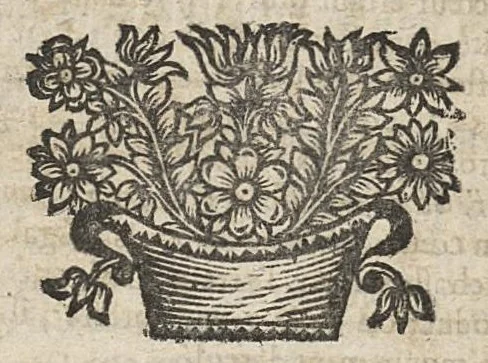 An illustration from Manuel anatomique et pathologique, ou abregé de toute l'anatomie...nouvelle edition corrigée & augmentée de la sixième partie..., 1672, leaf 664