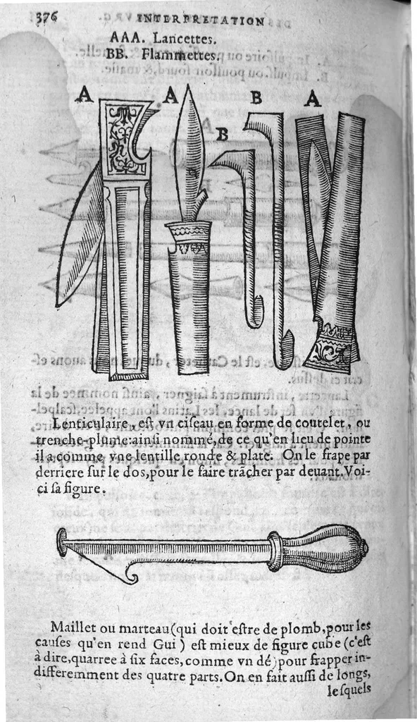 An illustration from Annotations de M. Laur. Joubert, sur toute la chirurgie de M. Gui de Chauliac. Avec l’interpretation des langues dudict Gui (c’est à dire, l’explication de ses termes plus obscurs) divisee en quatre Classes : la chascune estant rengee selon l’ordre de l’alphabet, 1584, leaf 407