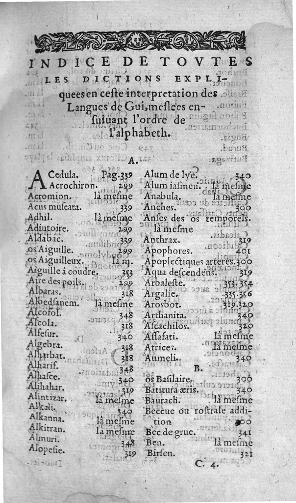 An illustration from Annotations de M. Laur. Joubert, sur toute la chirurgie de M. Gui de Chauliac. Avec l’interpretation des langues dudict Gui (c’est à dire, l’explication de ses termes plus obscurs) divisee en quatre Classes : la chascune estant rengee selon l’ordre de l’alphabet, 1584, leaf 438