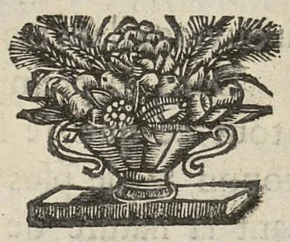 An illustration from Nouvelles formules de medecine latines et francoises, pour le Grand-Hôtel-Dieu de Lyon utiles aux autres hôpitaux, tant des villes que des armées, & aux jeunes medecins, chirurgiens & apothicaires composées...augmentées d'un traité de la verole ; seconde edition, 1699, leaf 303